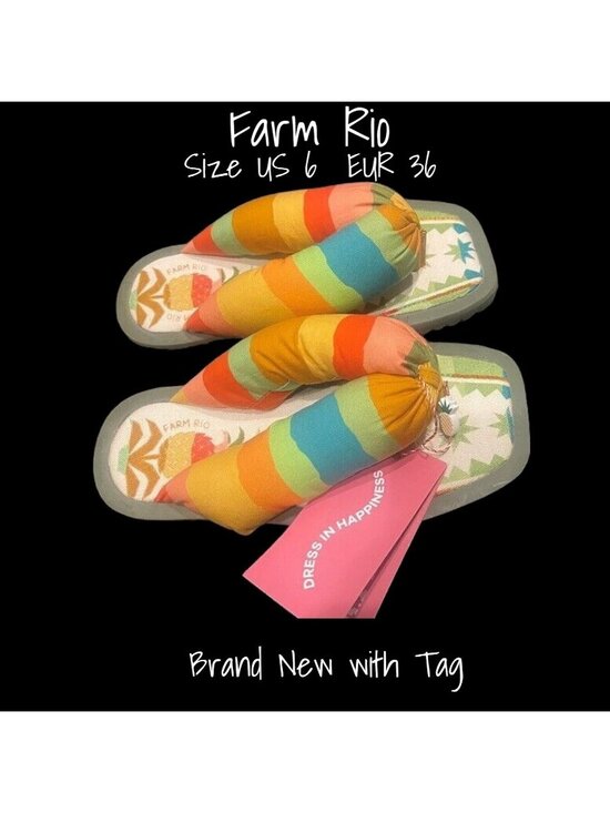 FARM Rio Shoes - Farm Rio Puffy Rainbow Pineapple Flip Flop Sandals Slides Women US 6 EU 36 New
